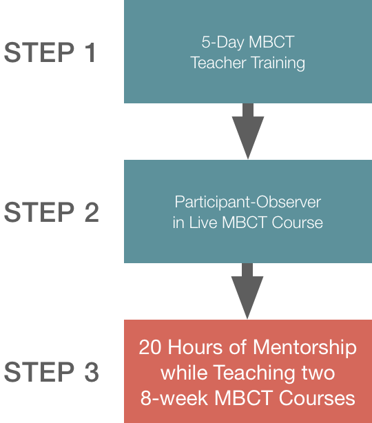 Phase 1: MBCT Teacher Qualification
